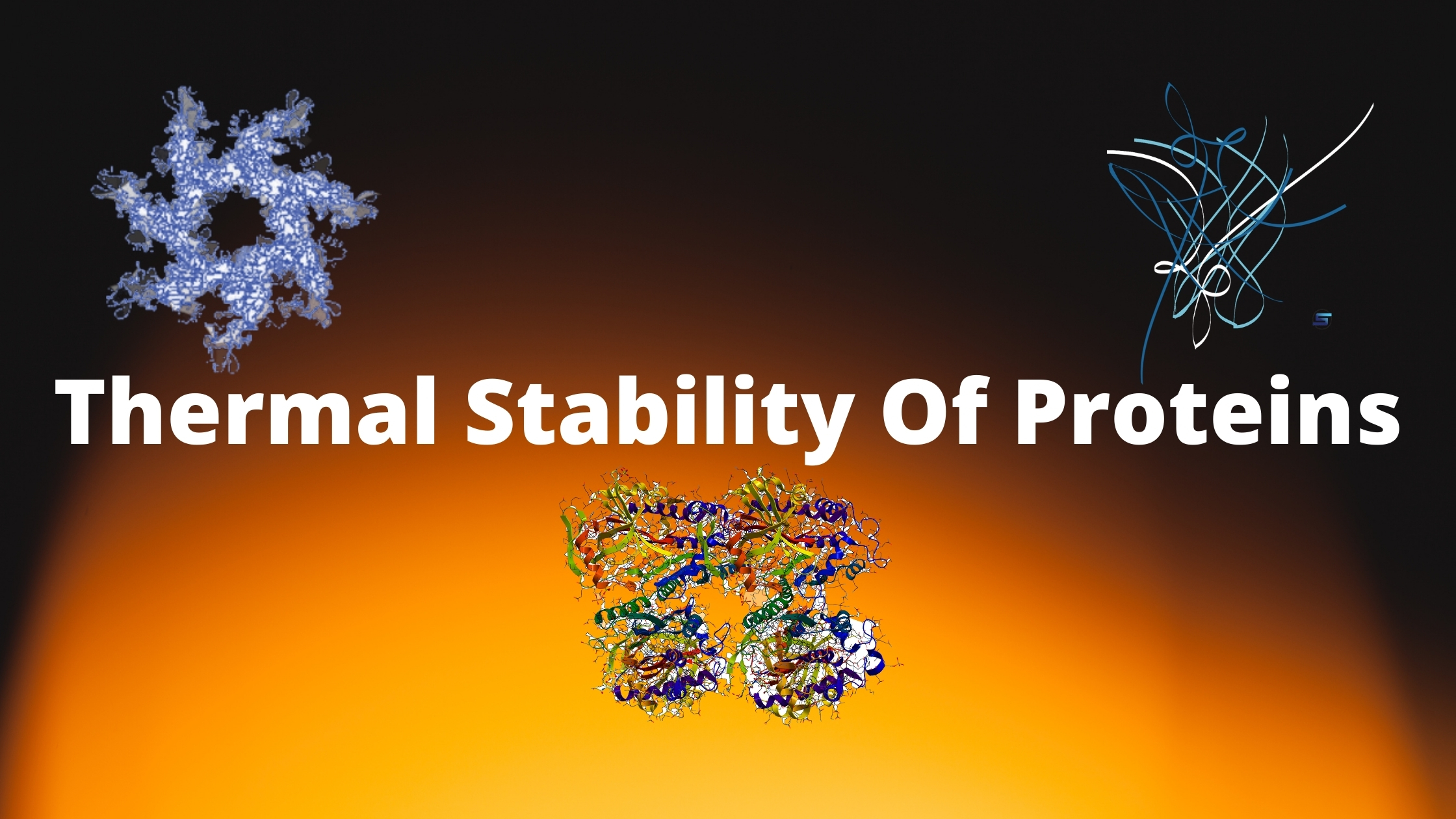 Thermal Stability of Proteins